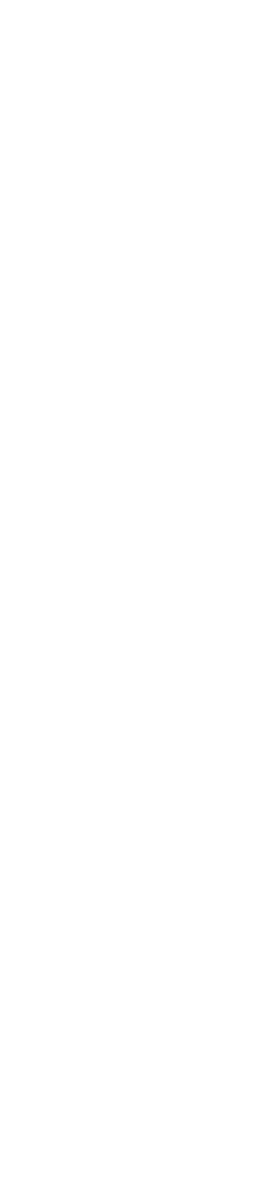钟摆